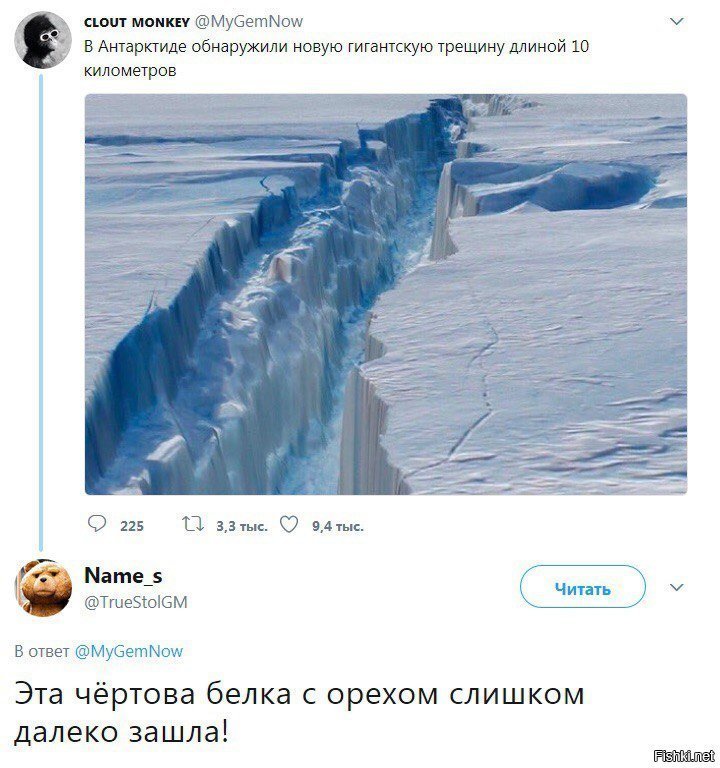 Белка с орехом слишком далеко зашла