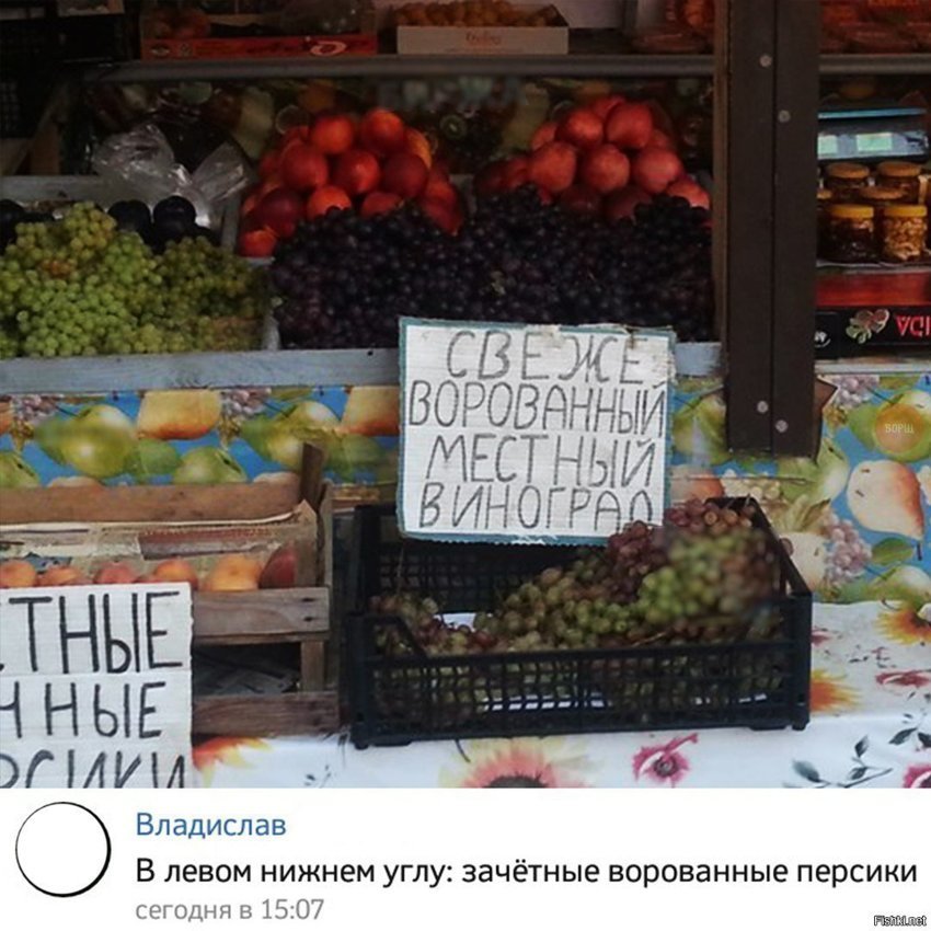 Зачётные ворованные персики