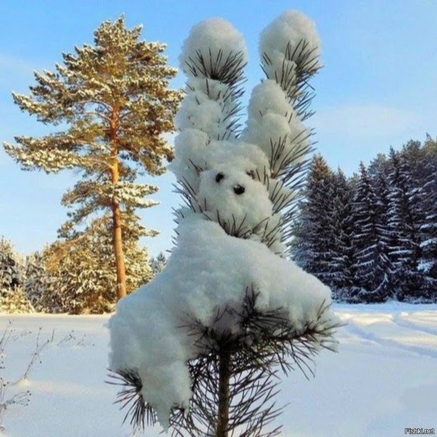 Снежный кролик)))