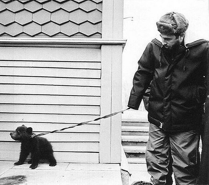 Фидель Кастро с медвежонком, подаренным ему во время визита в СССР русскими геологами. 1967 г.