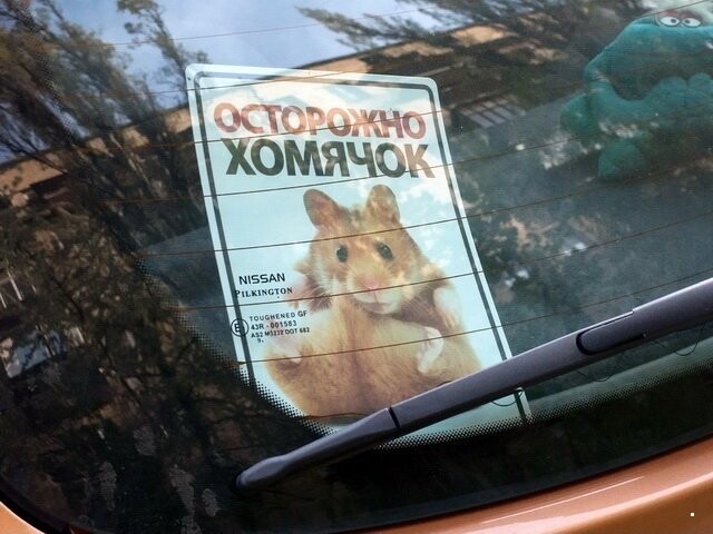 Автовсячина