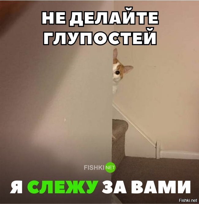 Я за вами слежу