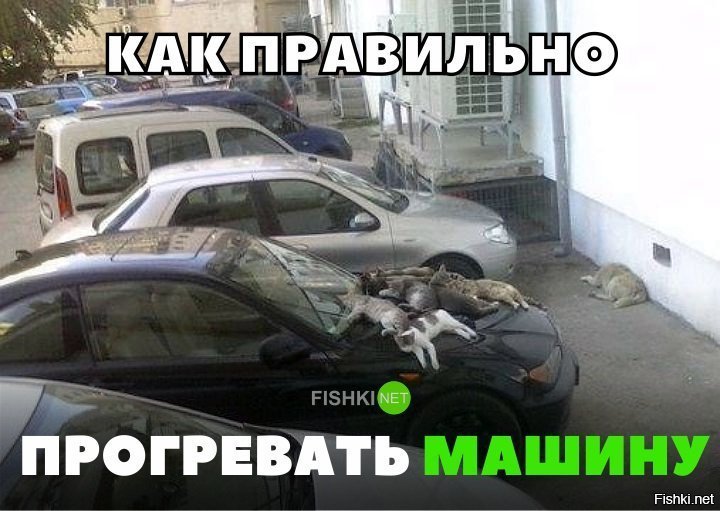 Как правильно прогревать машину
