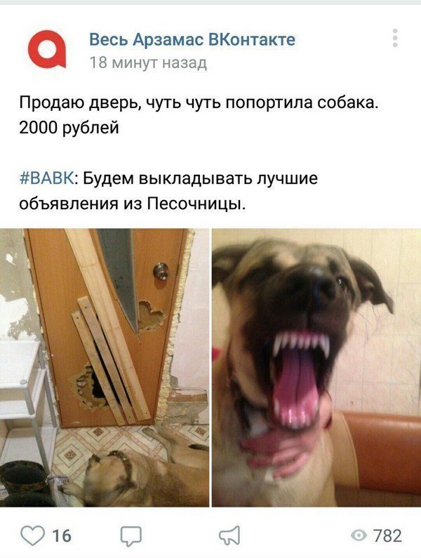 Приколы социальных сетей