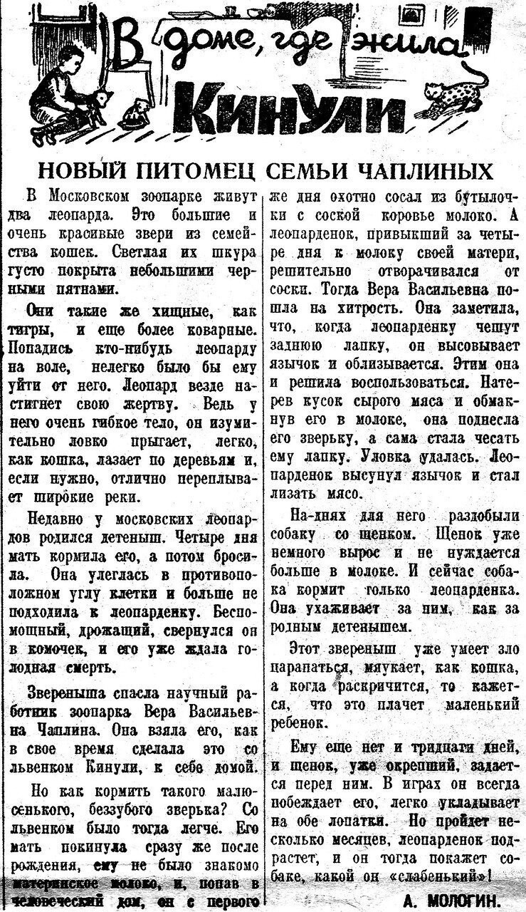 «Пионерская правда», 28 декабря 1936 г.