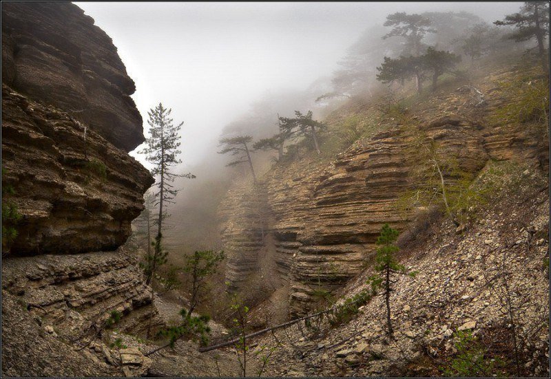 Немного фотографий из Крыма