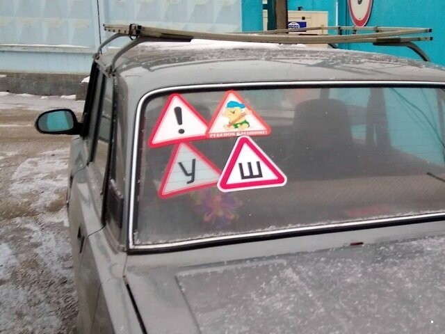 Автовсячина