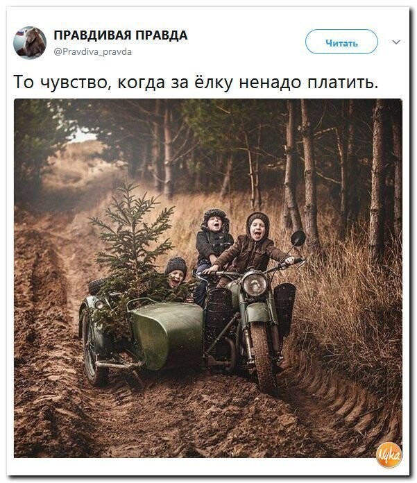 Политические коментарии соцсетей - 359