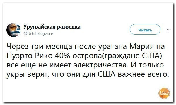 Политические коментарии соцсетей - 359