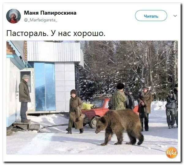 Политические коментарии соцсетей - 359