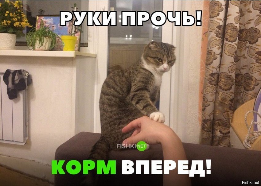 Корм вперёд