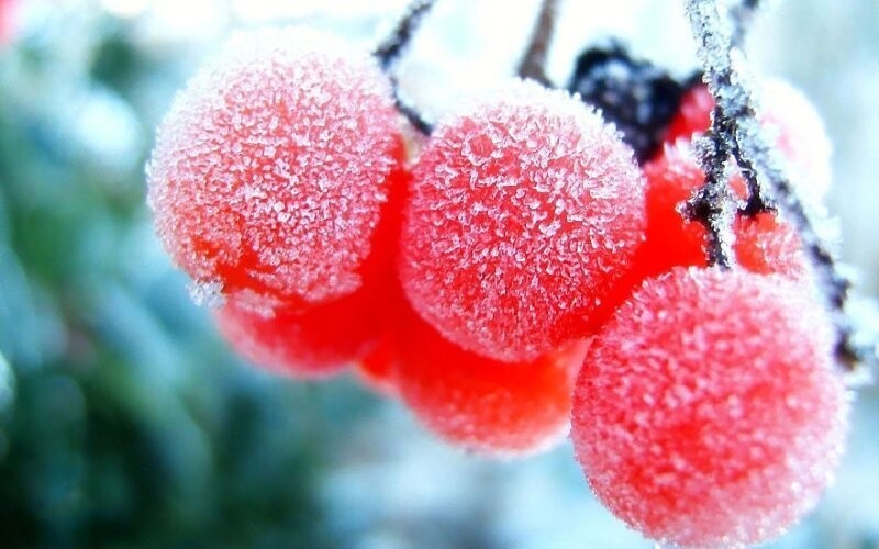 30. Мороженые ягоды