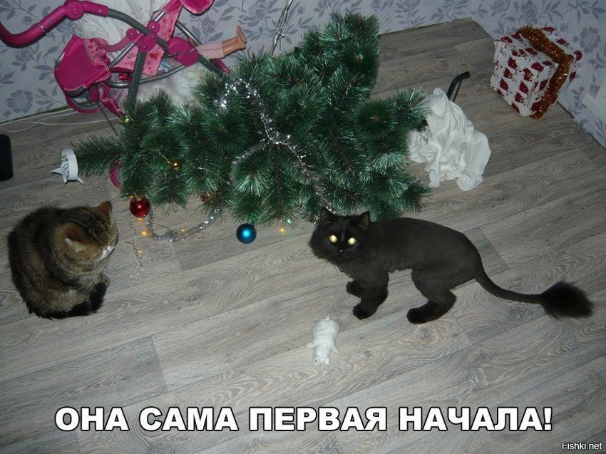 Она первая начала