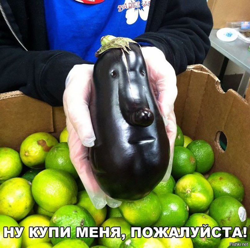 Ну купи меня, пожалуйста