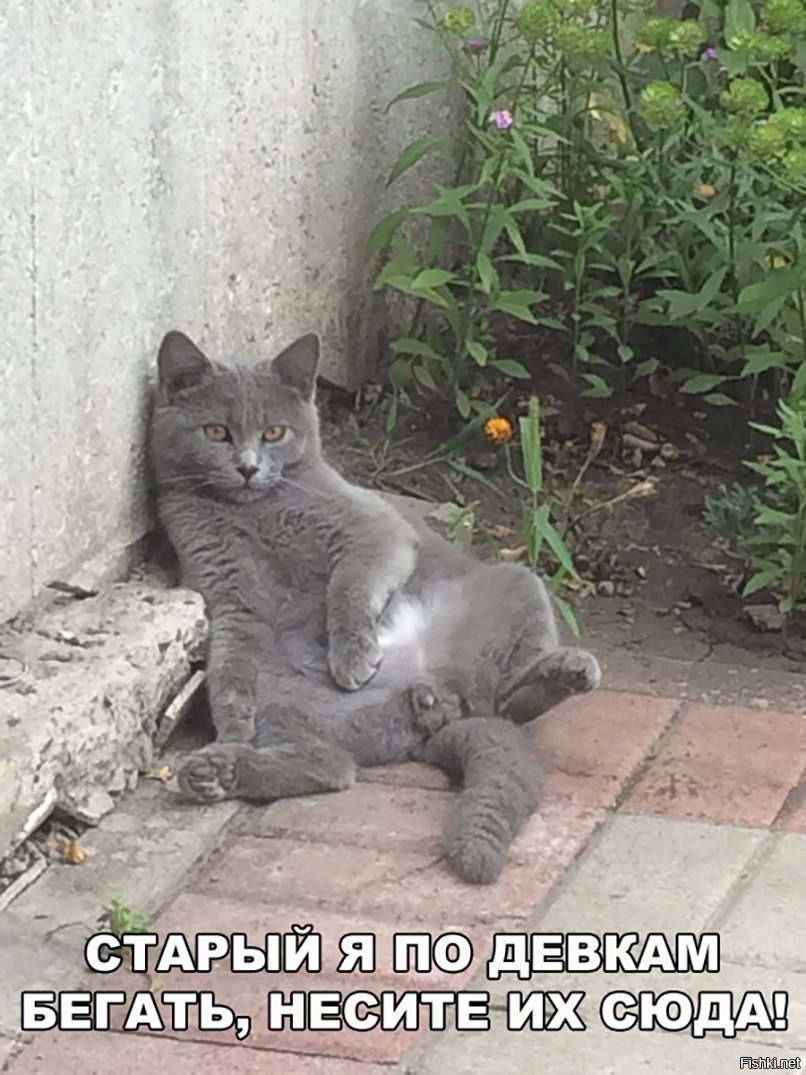 Несите самок сюда