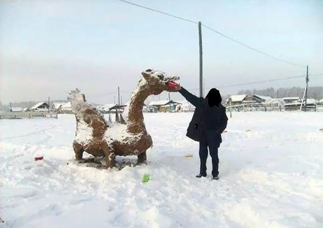 Фермер-художник продолжает творить из навоза