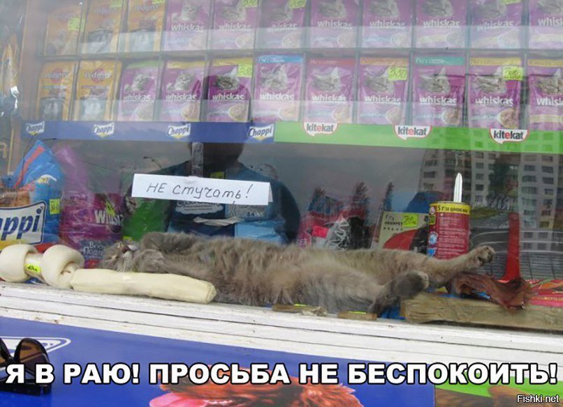 Просьба не беспокоить