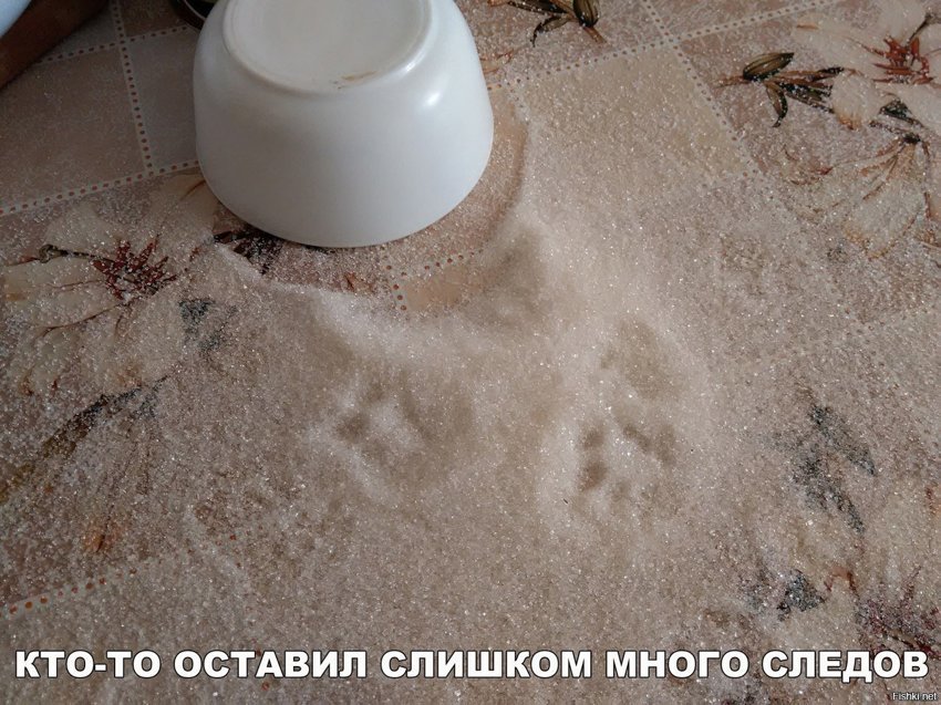 Кто-то оставил слишком много следов