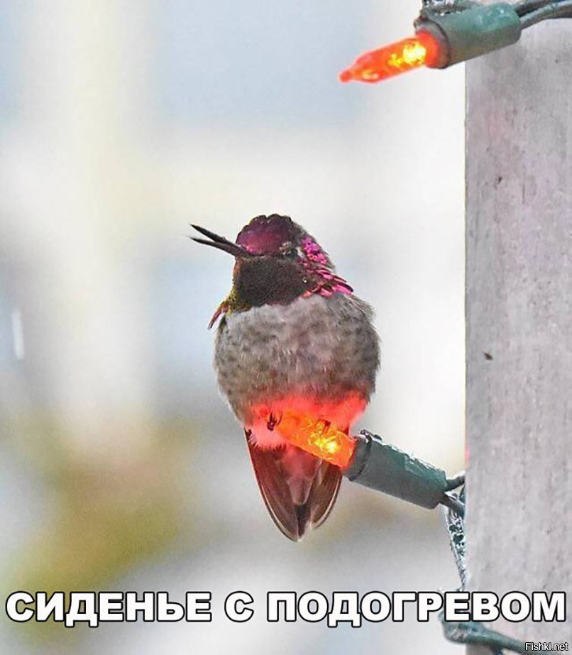 Сиденье с подогревом