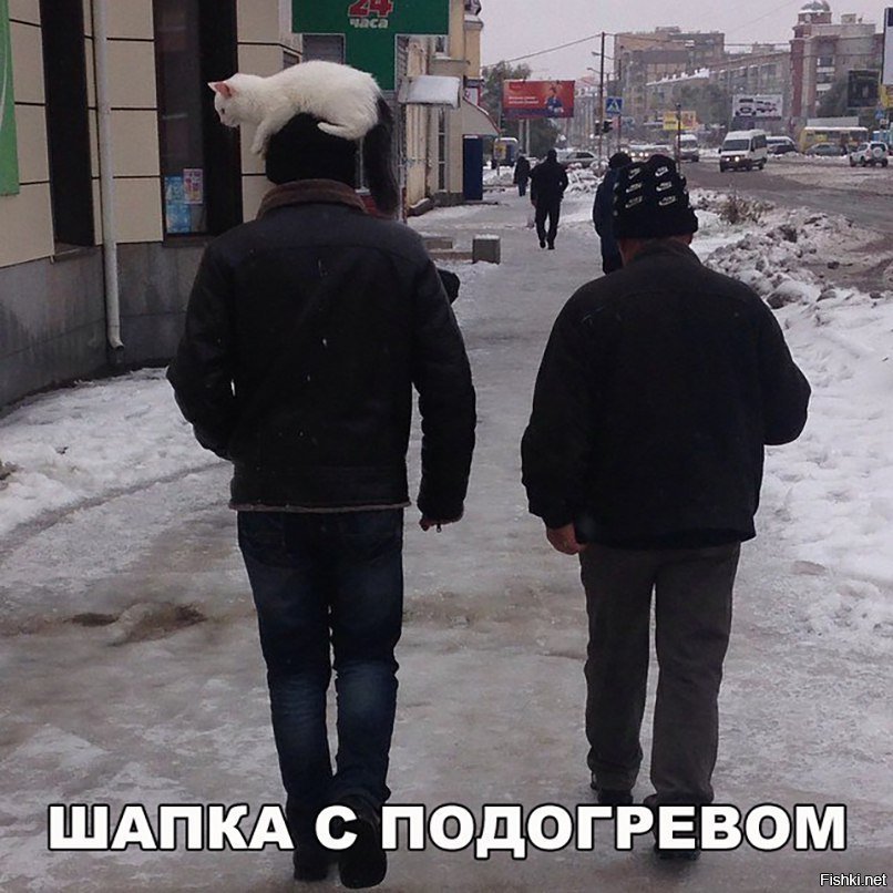 Шапка с подогревом