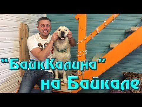 Отдых на Байкале с собакой 