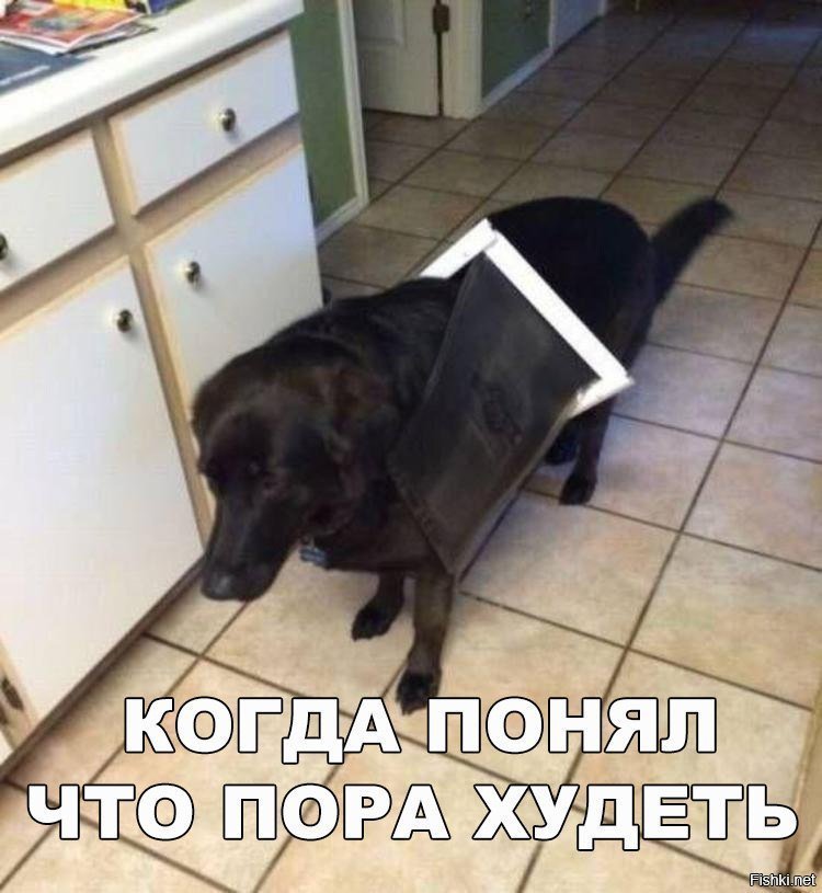 Понял , что пора худеть
