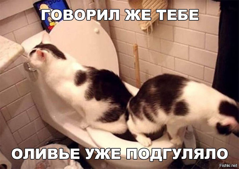 Когда оливье испортилось