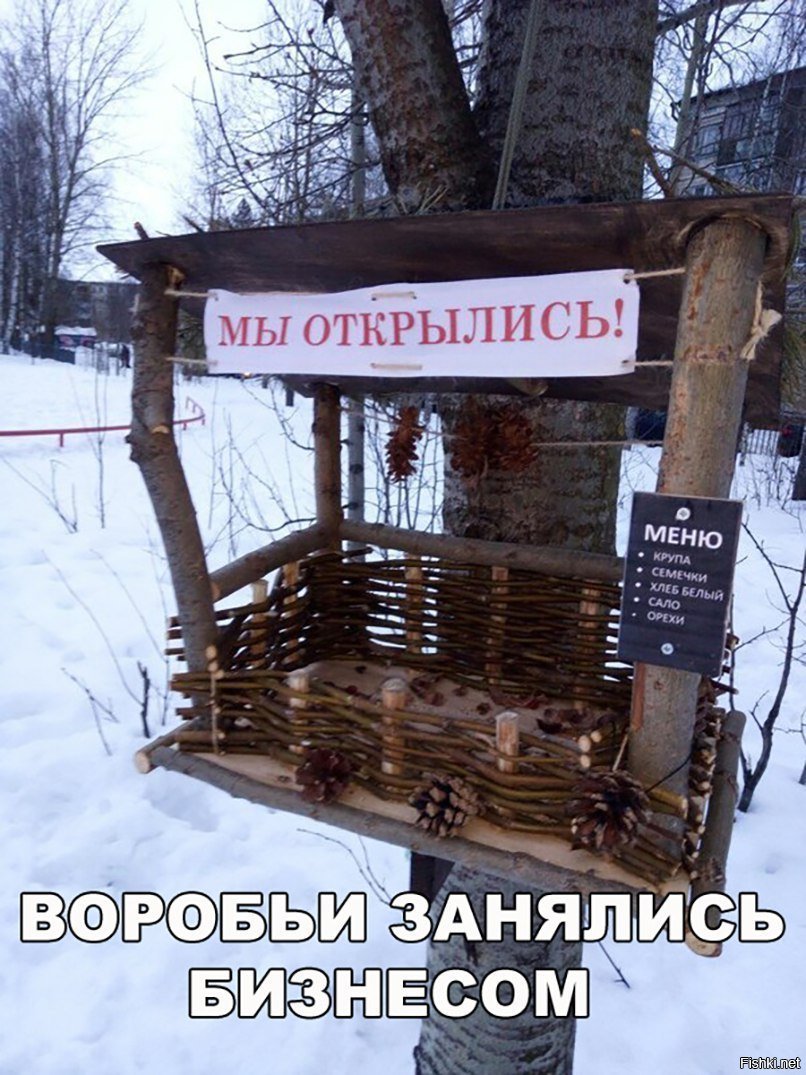 Воробьиный бизнес