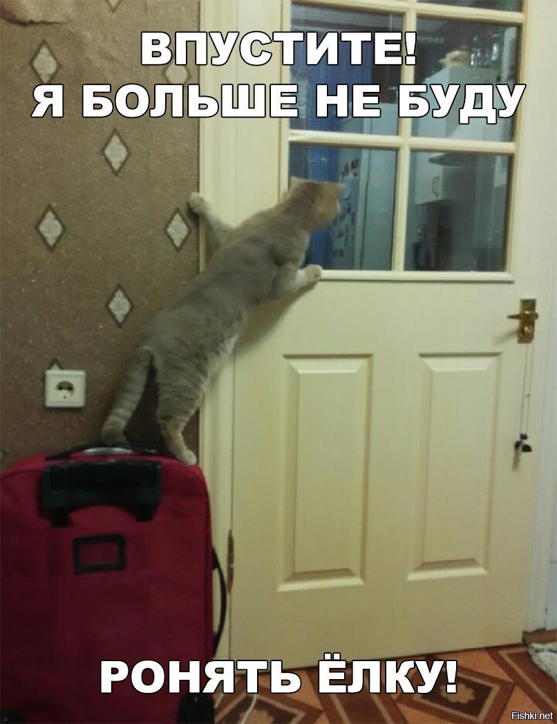 Врёт
