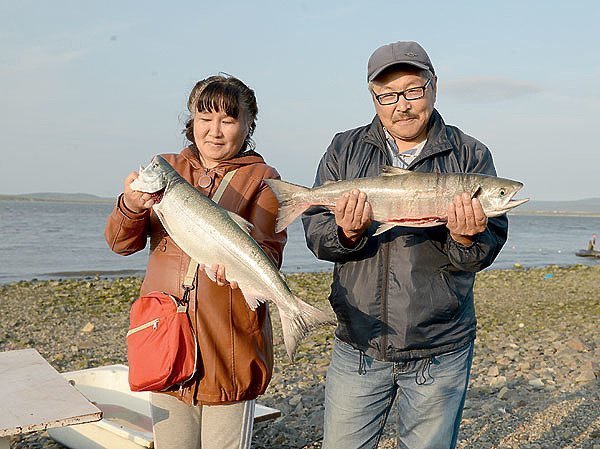 Рыбалка в Анадыре: лосось уходит на корм чайкам
