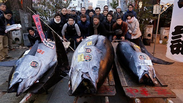 В Китае огромную рыбину продали за 323 тысячи долларов