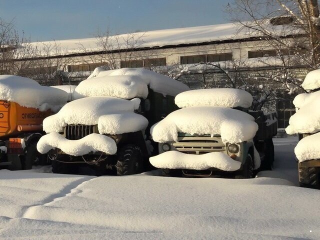 Автовсячина