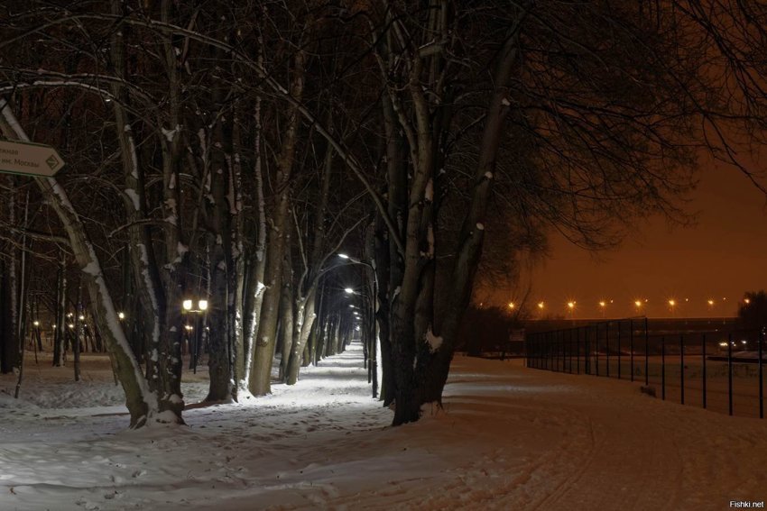 Вечерняя прогулка по свежевыпавшему снегу