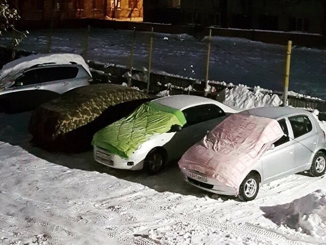 Автовсячина