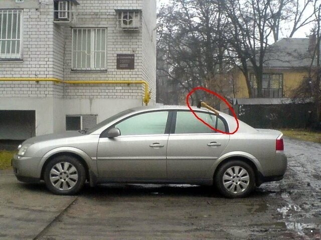 Автовсячина