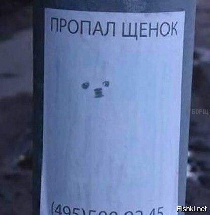 Белоснежный был щенок