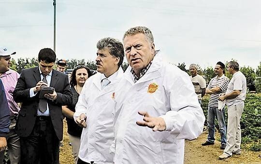 Грудинин планирует национализировать ряд промышленных отраслей и инфраструктуру