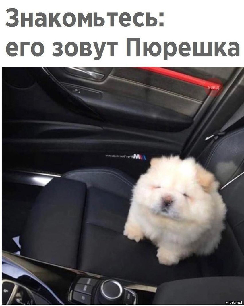 Милая пюрешка