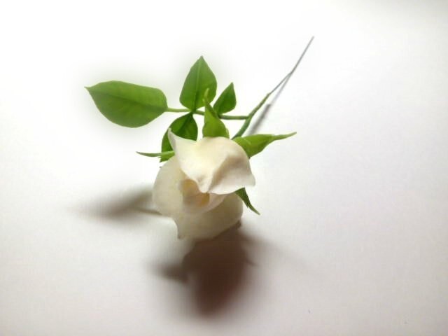 Роза из холодного фарфора и немного фото этапов изготовления с описанием