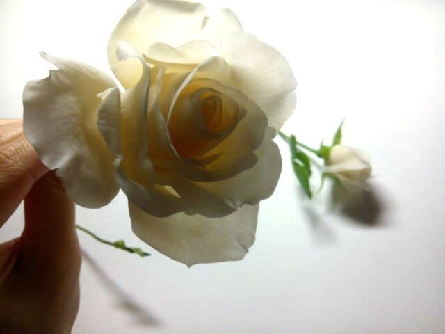 Роза из холодного фарфора и немного фото этапов изготовления с описанием