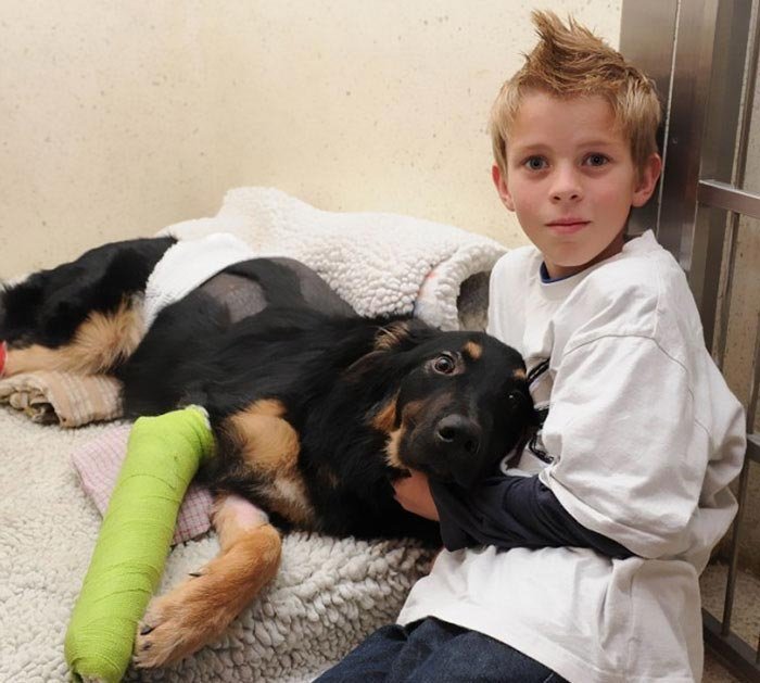 8-месячный пёс по кличке Гео спас мальчика по имени Чарли Райли от смерти под колёсами грузовика. Пёс толкнул мальчика с дороги, попав под колёса вместо него