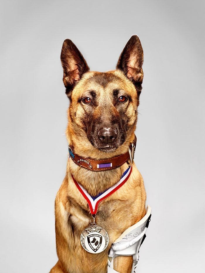 Лайка — героическая военная собака, которая несмотря на 4 выстрела с близкого расстояния из АК-47 смогла напасть на противника и спасти жизнь своему напарнику