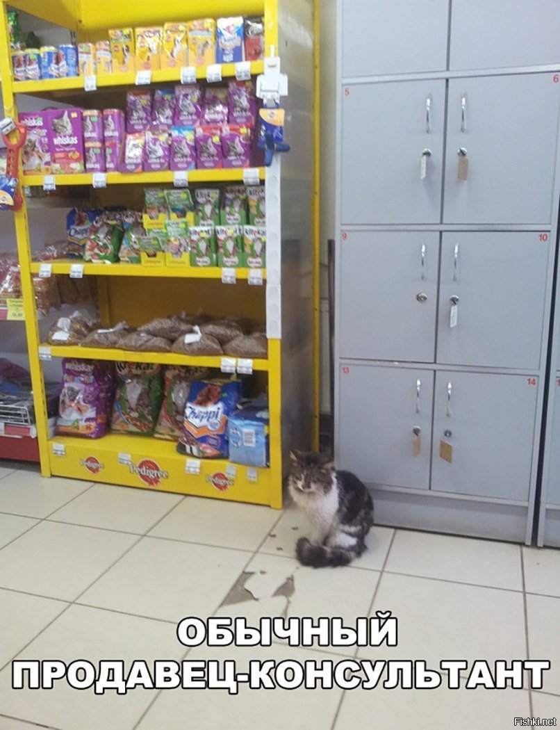 Консультант