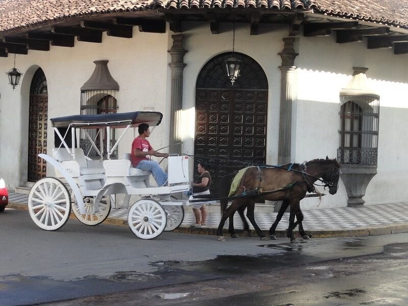 А на таких белоснежных каретах катают туристов по Гранаде за большие деньги: