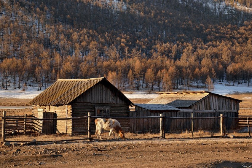 Деревни Сибирской глубинки