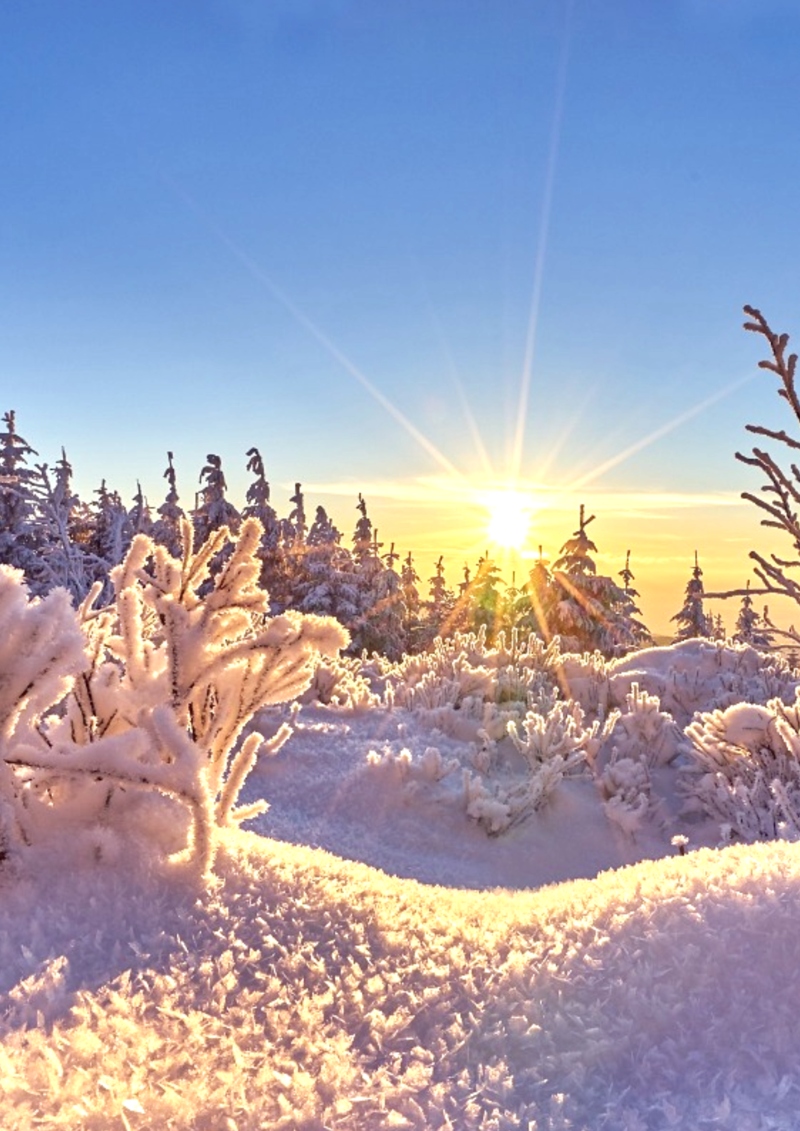 Зимняя красота свежего , морозного утра
