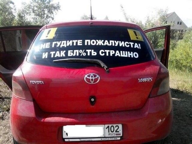 Автовсячина