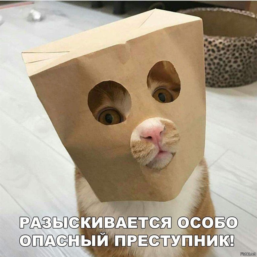 Особо опасный преступник
