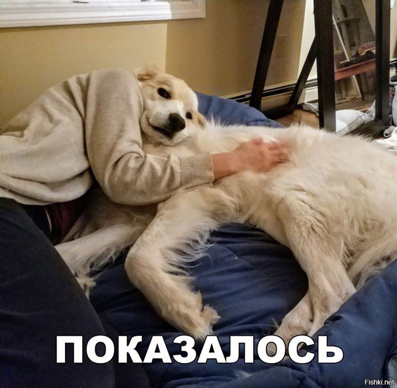 Показалось