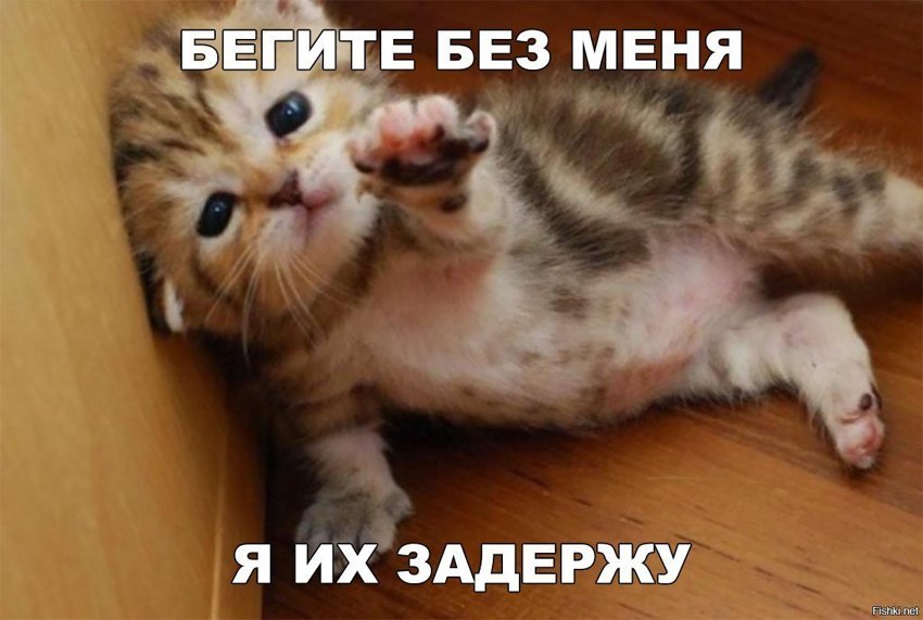 Я их задержу
